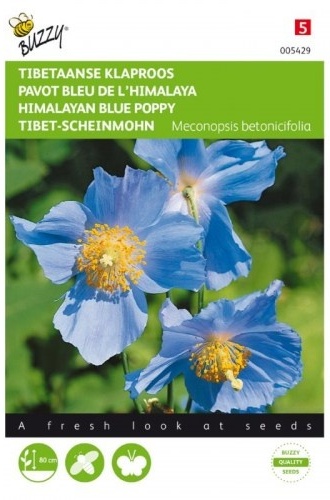 Meconopsis betonicifolia, Himalájsky modrý mak cca 25 semien